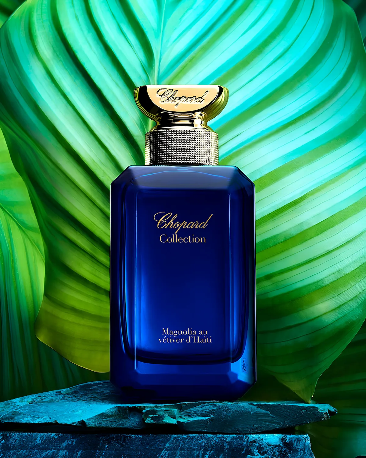 Magnolia Au Vetiver du Haiti