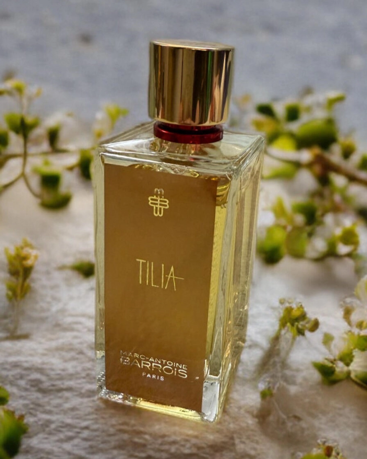 Tilia